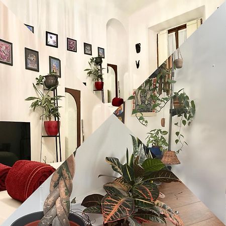 La Stanza Della Giungla Milão Exterior foto